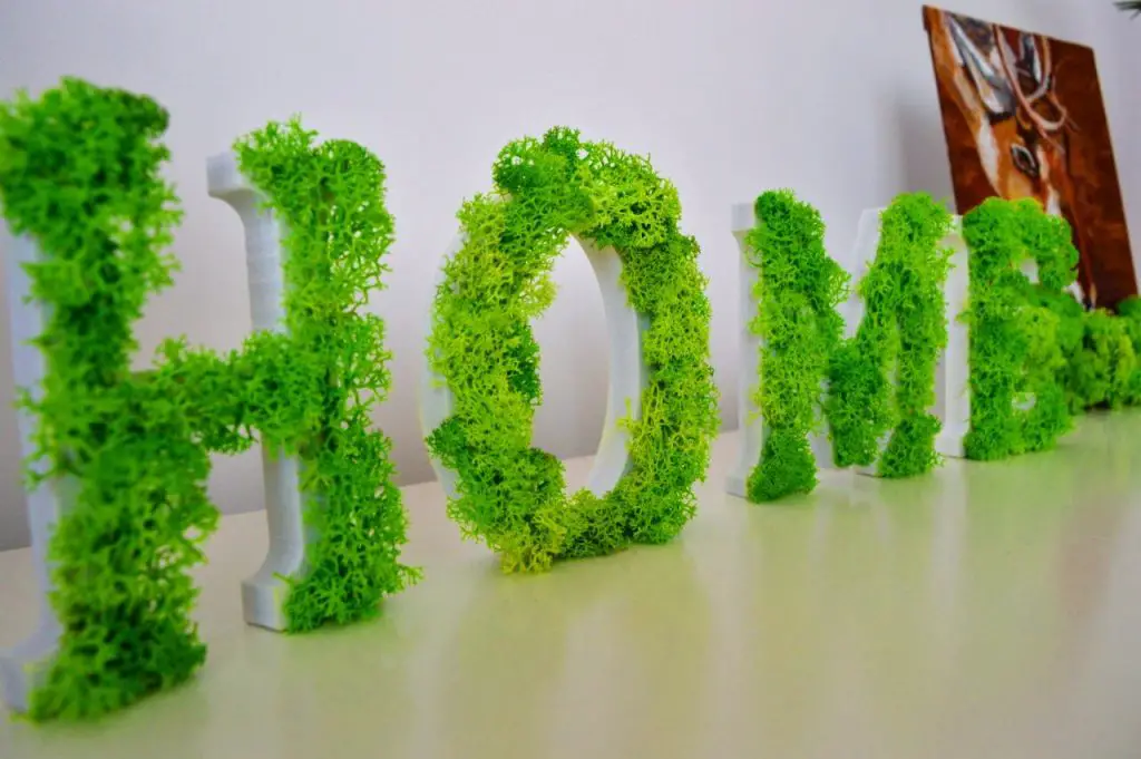 Decoratiune frumoasa din litere cu licheni – HOME